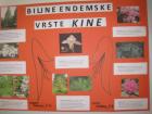 Kina 057